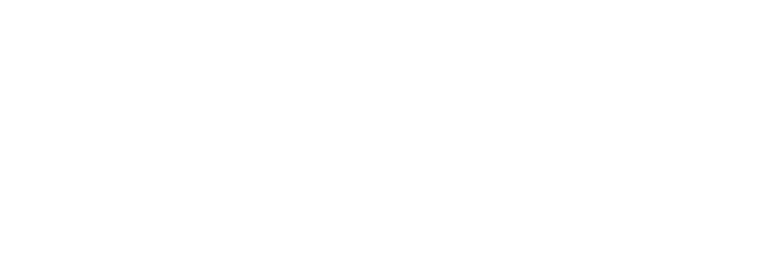 الريادة الاحترافية